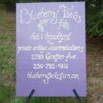 Blueberry Fields…..