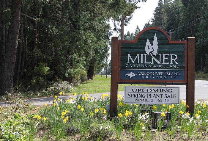 Milner Gardens Spring Plant Sale…..